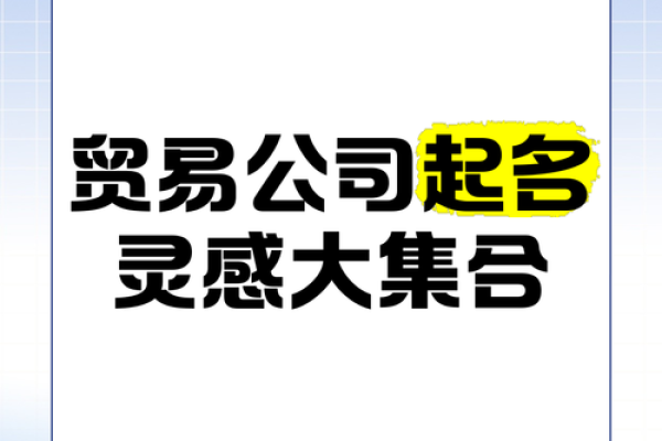 服装公司起名创意大全 免费提供灵感与建议
