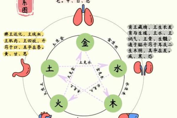 电五行与五行理论的联系与区别
