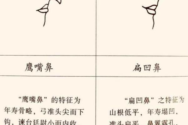 神秘堕胎运势，揭秘你的命运转折点