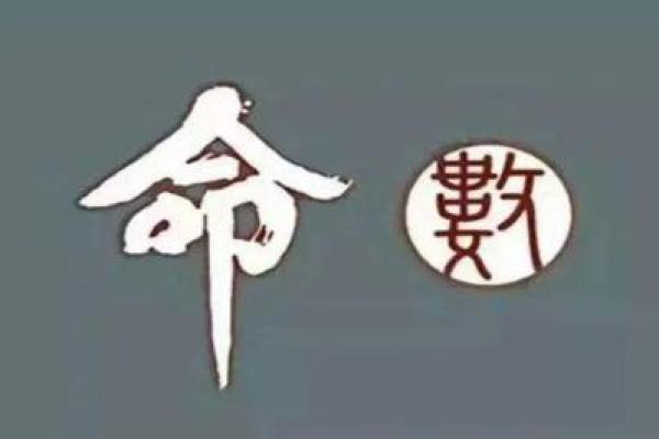 数字占卜风暴：揭开你的命理命运之谜