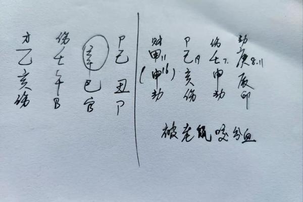 命理大师揭秘：为何克母？揭秘命运中的神秘力量