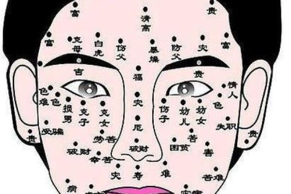 头顶看相，揭秘你的命运秘密！