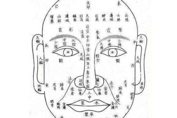 面相解析：妻子的五官透露出的幸福密码