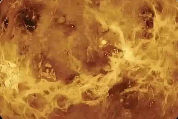 天蝎男：揭秘神秘魅力的秘密武器