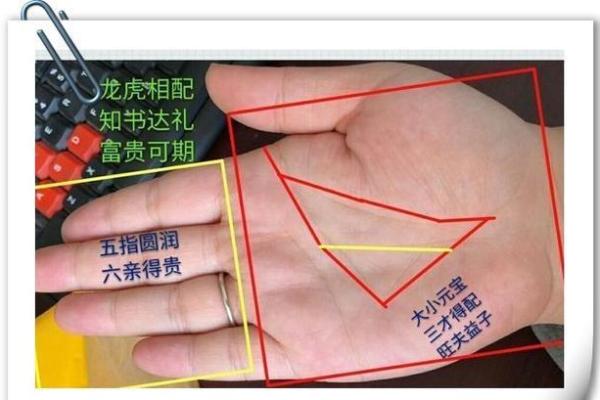 龙吞虎手相揭秘：运势亨通的秘密武器