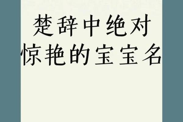 鼠年宝宝楚辞风华名篇