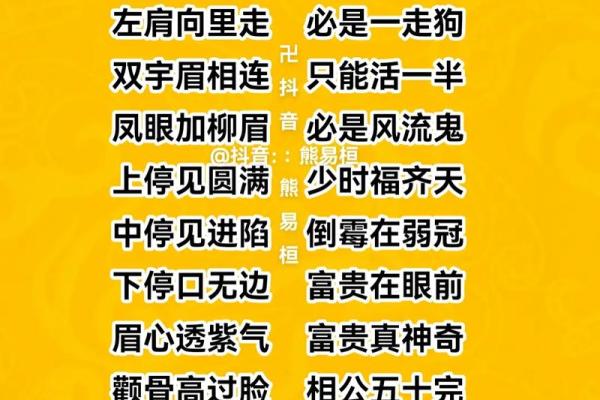面相揭秘：男性面相子女运势的神秘密码