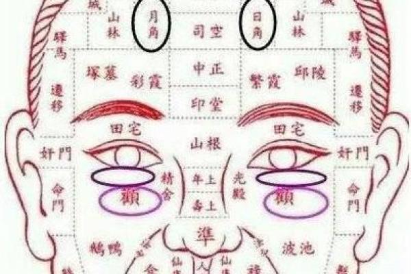 右脸麻衣痣：你的运势密码