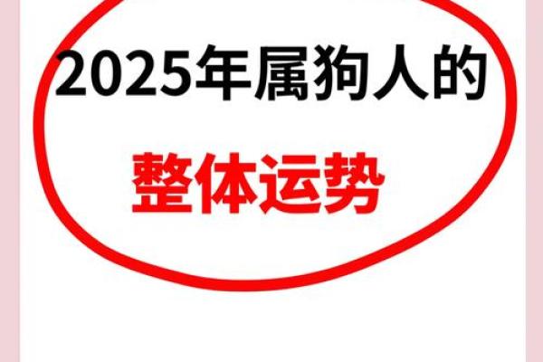 揭秘今日属狗人的运势