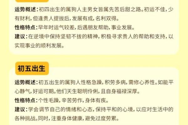 揭秘今日属狗人的运势