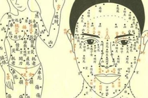 手指上的命运密码，一学就会的算命图解宝典！