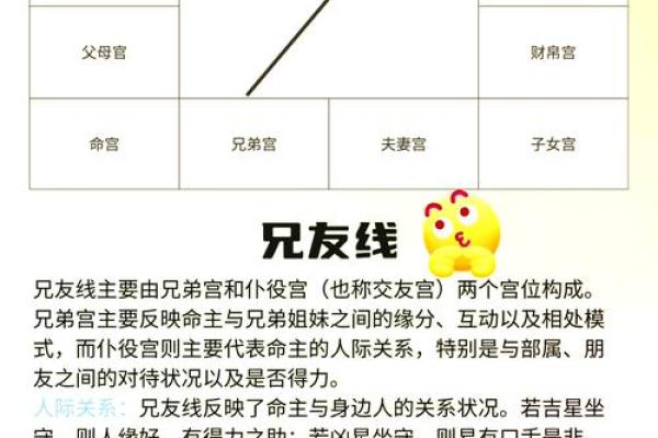 手指上的命运密码，一学就会的算命图解宝典！
