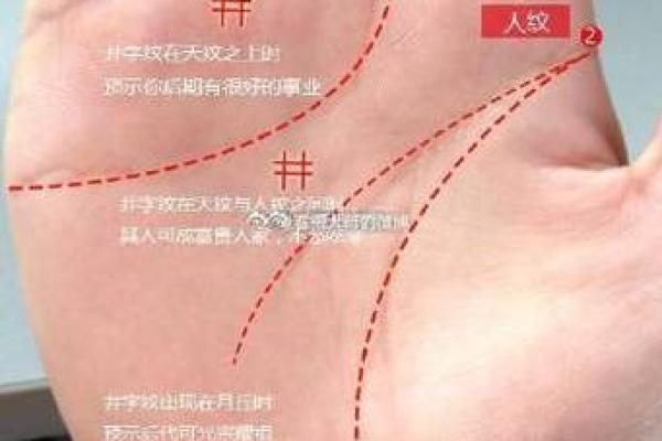 人字掌纹揭秘：运势与性格的奥秘