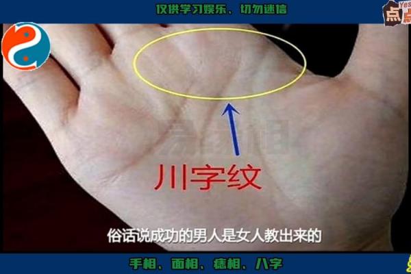 人字掌纹揭秘：运势与性格的奥秘