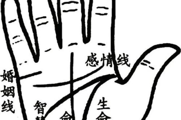三线手相揭秘：命运密码尽在其中