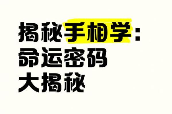 三线手相揭秘：命运密码尽在其中