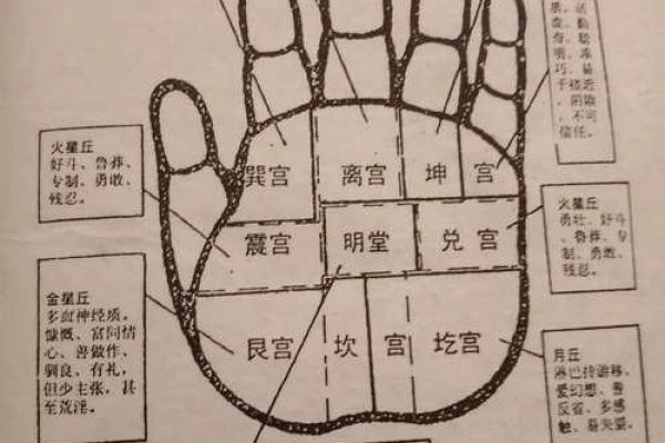 坤宫丰满，财运亨通，手相解析揭秘