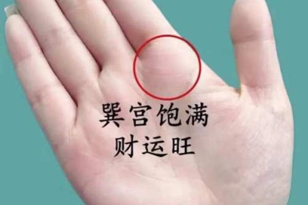 坤宫丰满，财运亨通，手相解析揭秘