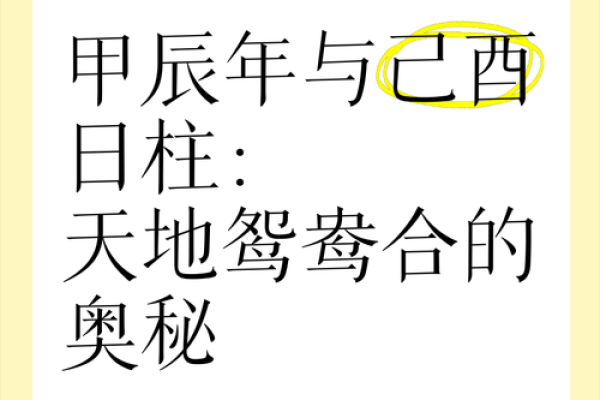 风云际会：日柱与正官地支相融