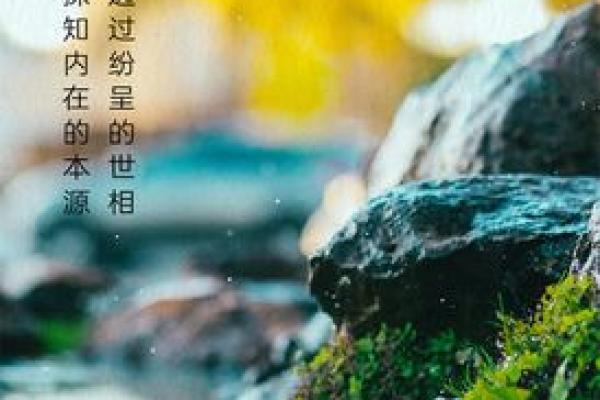 素雅如诗，静水流深——探究素素名字的运势奥秘