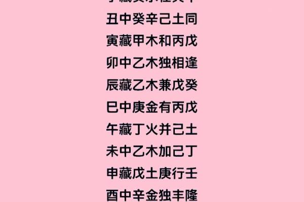 地支藏干秘籍：揭秘最强数据表背后的秘密