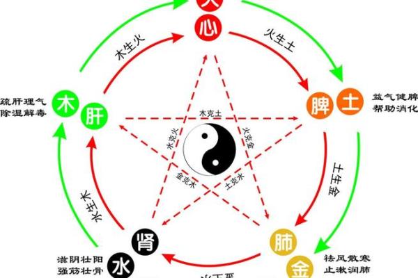 豆五行的深层次解析