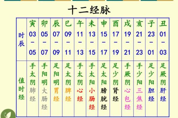 豆五行的深层次解析