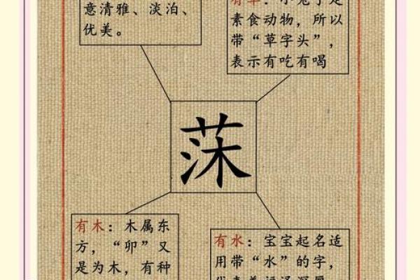 珂字名字精选：盘点那些充满诗意的美好名孿