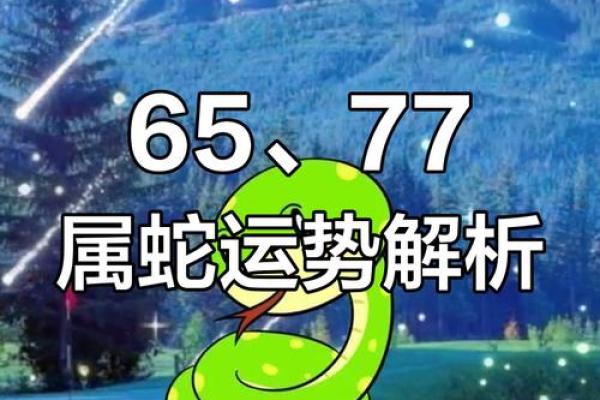 蛇年运势大揭秘：十年风水轮流转，你的运势如何？