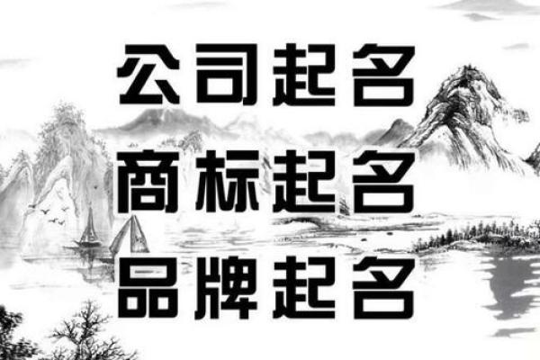 打造独特品牌形象：网上公司起名大全推荐