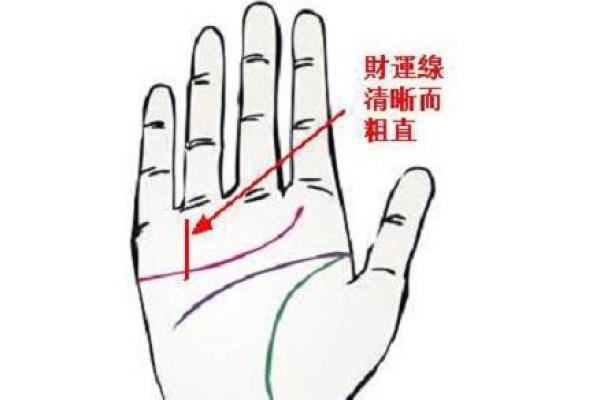 财富在手，相中可得：手相理财线真实图解析，教你轻松掌握财运！