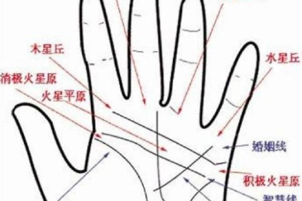 手相风流线：揭秘财运亨通的奥秘
