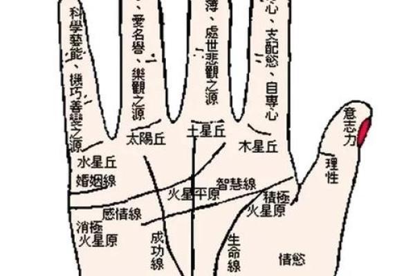 解锁手相奥秘，一学就会！