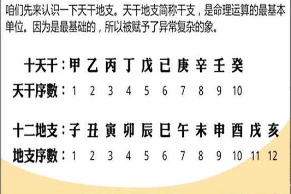 天干地支相合之谜，揭秘男命八字运势