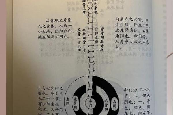 深入大连周易文化，感悟古老智慧的现代意义
