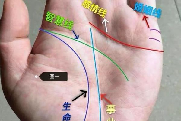 车轮手相大揭秘：运势亨通的秘密通道