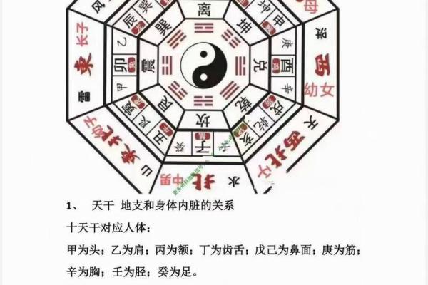 阳宅布局中的风水智慧：打造和谐居住环境的关键秘诀