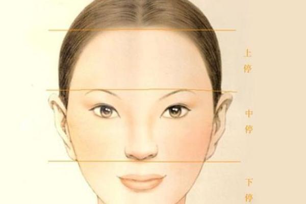 鼻尖低面相：揭秘财运亨通的神秘面相密码