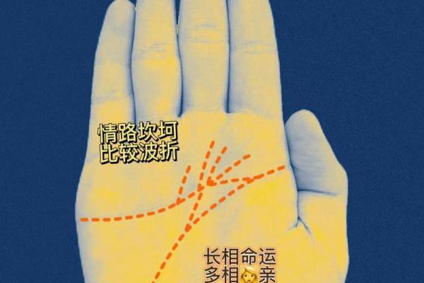 手掌中的命运密码：女人手相算命全解秘籍