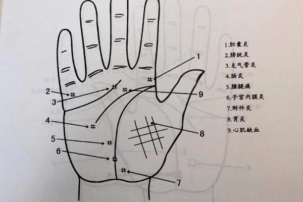 手掌中的命运密码：女人手相算命全解秘籍