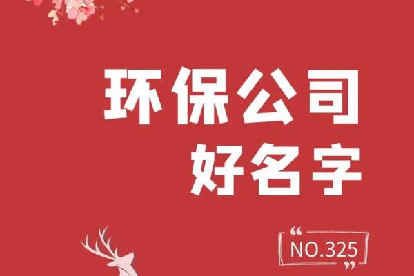 提升品牌形象，挑选最佳公司起名软件