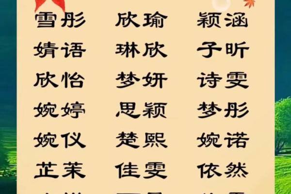 瑜起名公司名字评分标准与创意解析