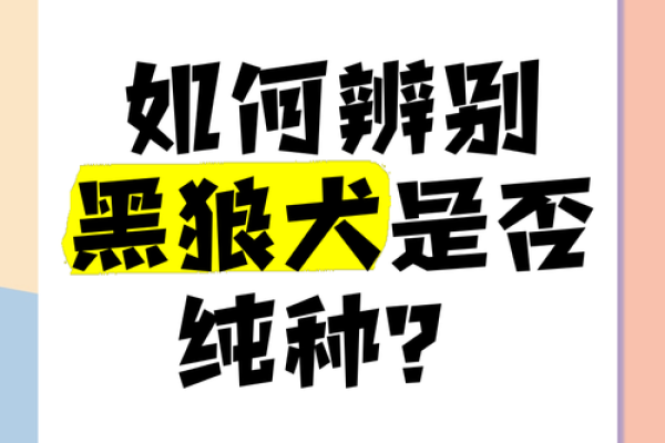 给你的黑狼犬起个与众不同的名字
