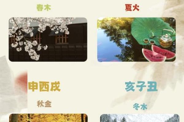 探索十二时辰背后的五行奥秘