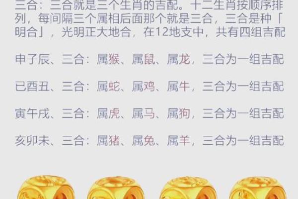 生肖配对：了解最佳爱情运势