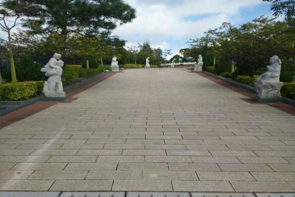 走进东营大学风水学的世界：传统与创新的融合