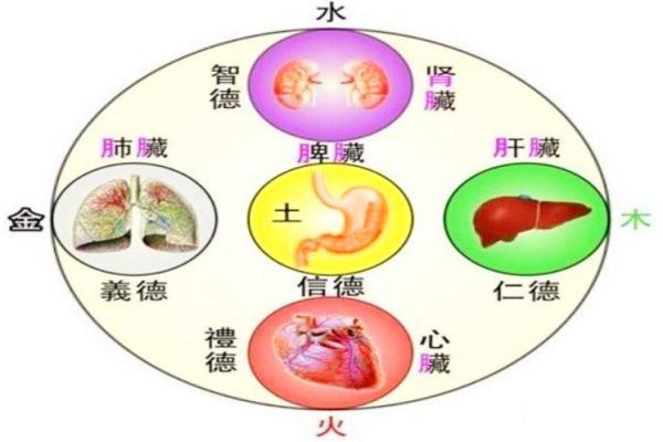 家居风水巧搭配，养五脏六腑更健康