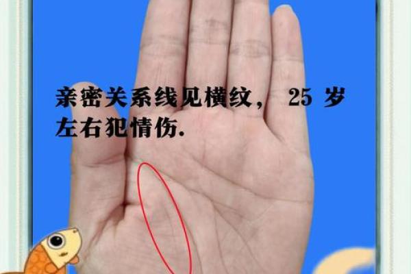解锁手相奥秘：五线勾勒人生轨迹