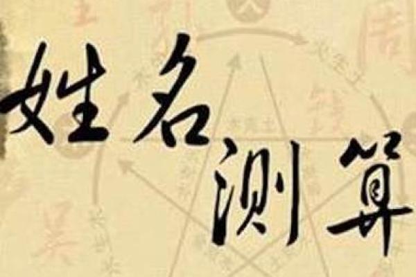 丁蓓：寓意清雅，寓意美好，姓名运势解析
