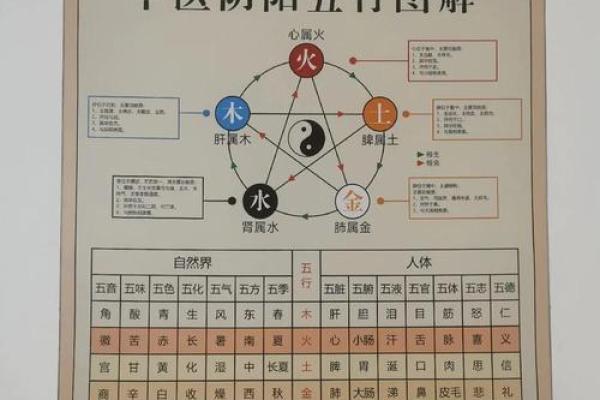 辰五行在现代风水中的应用研究